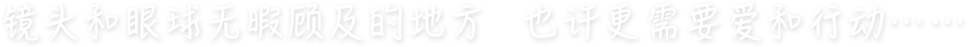镜头和眼球无暇顾及的地方  也许更需要爱和行动……